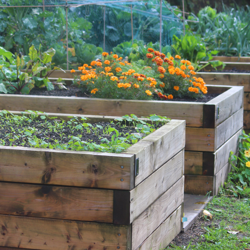garden grid 1