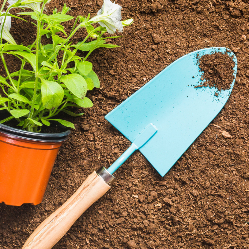 garden grid 3 soil and plant