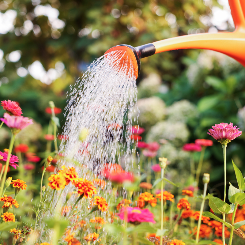 home grid 4 a watering can watering flowers
