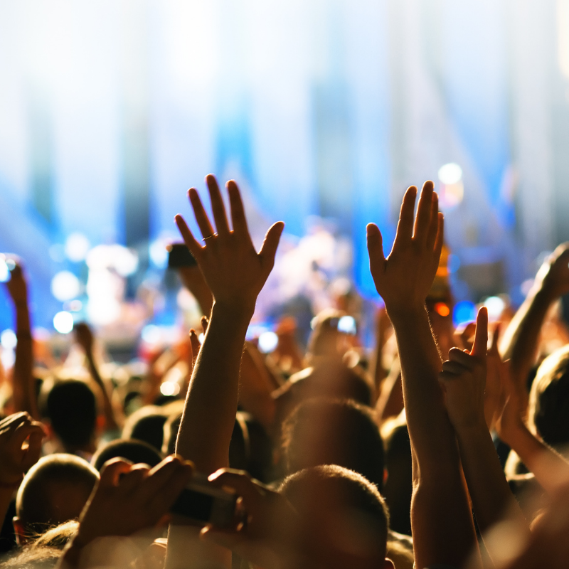 entertainment grid 2 hands in the air at a gig
