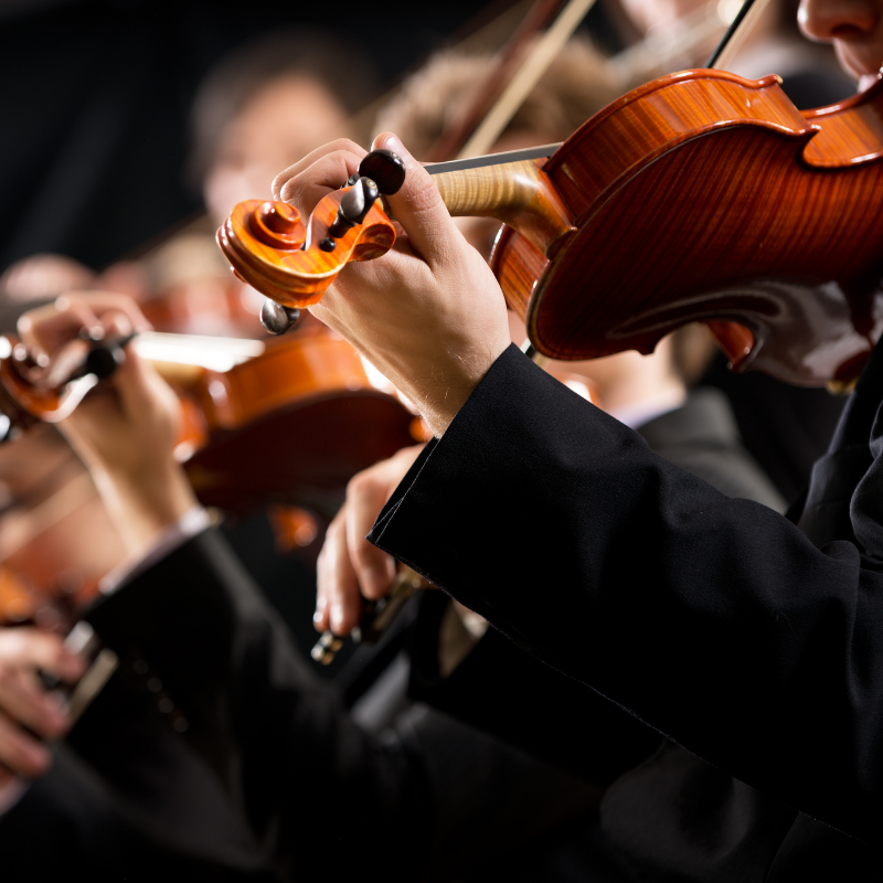 entertainment grid 3 violin at a concert